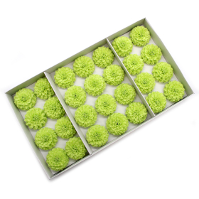 28x Fiori di Sapone DIY - Crisantemo S - Verde