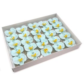 25x Fiori di Sapone DIY - Peonia - Blu