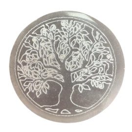 Piastra di Ricarica  - Albero della Vita - 8cm