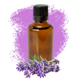 10x Oli Essenziali 50ml - Lavanda (Senza Etichetta)