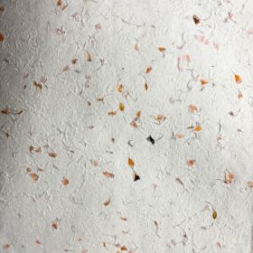 10x Carta Lokta Artigianale / da Regalo (51x76 cm) – Calendula