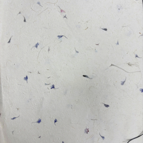 10x Carta Lokta Artigianale / da Regalo (51x76 cm) – Fiordaliso