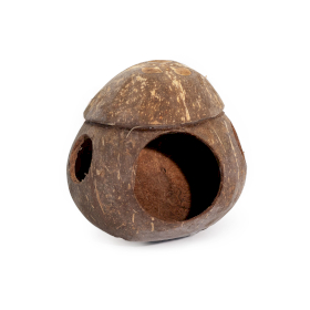 4x Casetta per Uccelli in Noce di Cocco Naturale – con Gancio – 13cm