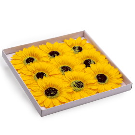9x Fiore di Sapone – Girasoli Grandi – 14 cm
