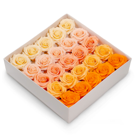 25x Fiore di Sapone - Rosa Romantica a 5 Strati – Selezione Sfumata – Pesca Cipria