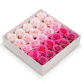 25x Rosa Romantica a 5 Strati – Selezione Sfumata – Rosa Cipria