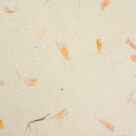 Carta Lokta A4 20 Fogli - Calendula