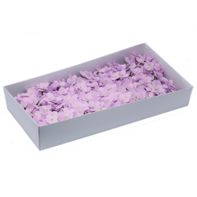 36x Fiori di Sapone DIY -  Lablab - Lavanda