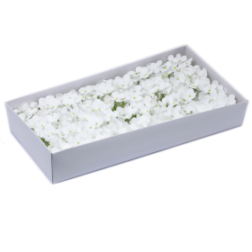 36x Fiori di Sapone DIY -  Lablab - Bianco