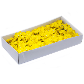 36x Fiori di Sapone DIY -  Lablab - Giallo