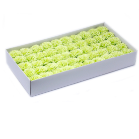 50x Fiori di Sapone DIY -  Garofani - Lime