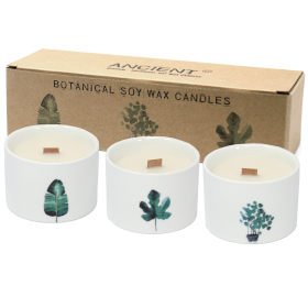 3x Candela Botanica Media - Giardino Giapponese