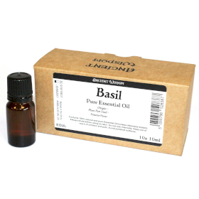 10x Olio Essenziale Di Basilico (no etichetta)