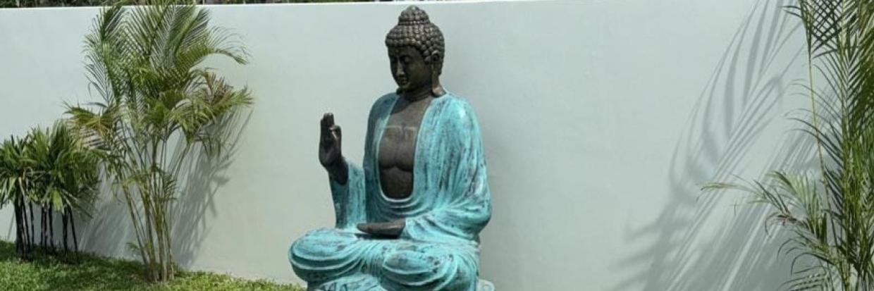  B2B  Grossista Statue del Buddha