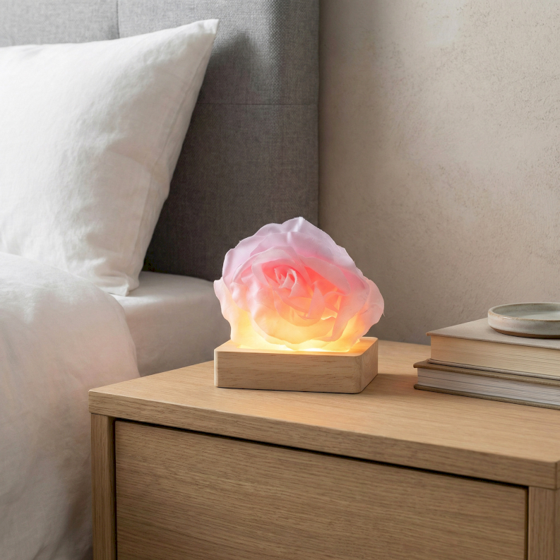 Grossista B2B di Supporti LED USB